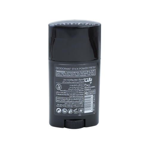استیک خشبوکننده بدن پالتا مدل Power Fresh Sport